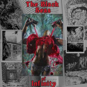 Free download of The Black Seas of Infinity